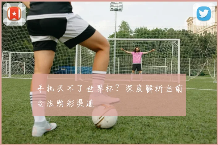 手机买不了世界杯?深度解析当前合法购彩渠道