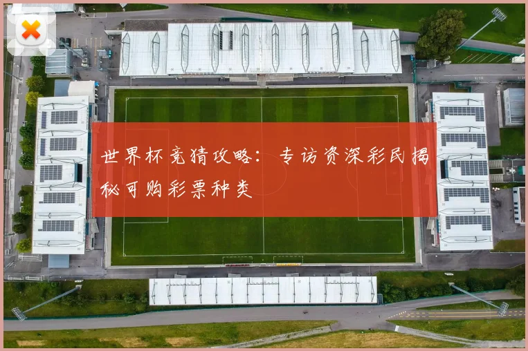 世界杯竞猜攻略:专访资深彩民揭秘可购彩票种类