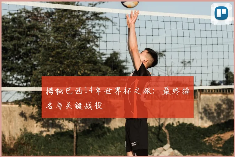 揭秘巴西14年世界杯之旅：最终排名与关键战役